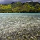 Moorea Magic